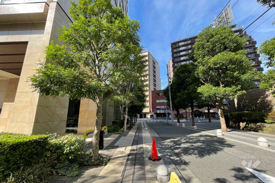 敷地東側の前面道路