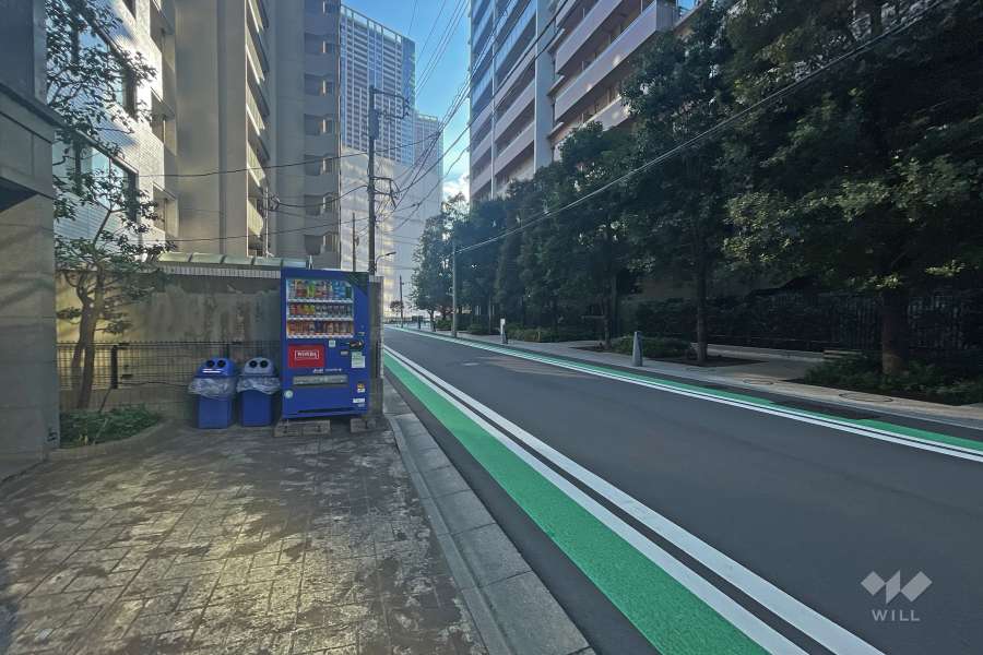 敷地西側の前面道路（北側から）