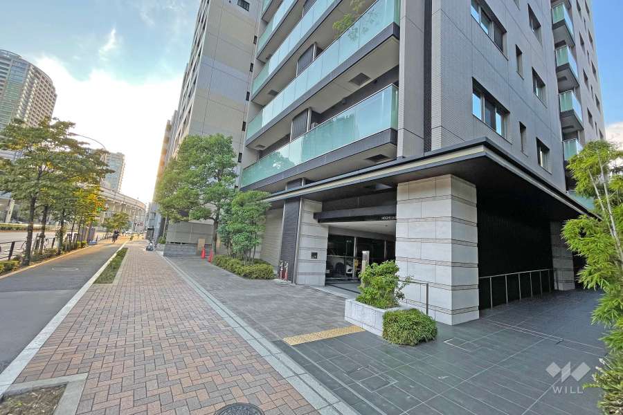 敷地南側の前面道路