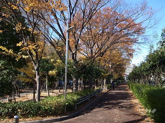 敷地の東側には庄下川が流れており、川沿いには遊歩道が整備されています。