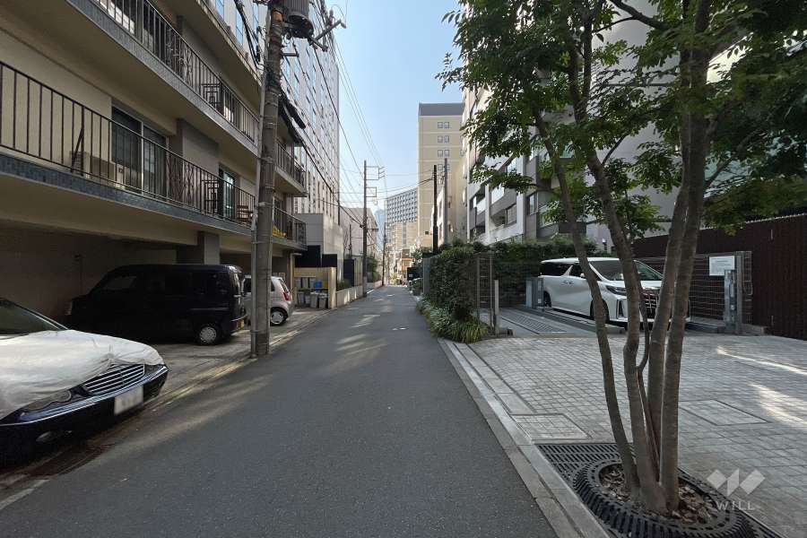 敷地南側の前面道路（東側から）