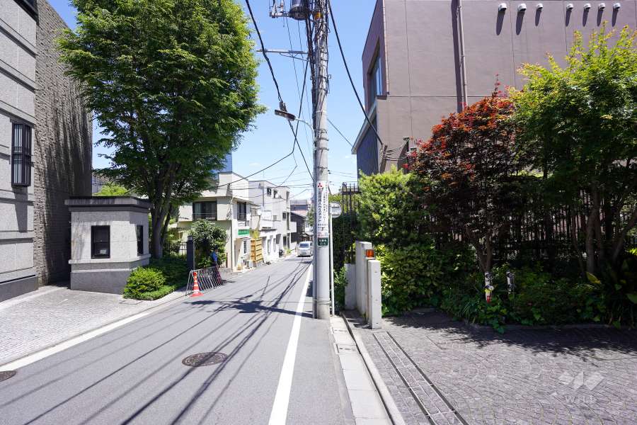 敷地北側の前面道路（西側から）