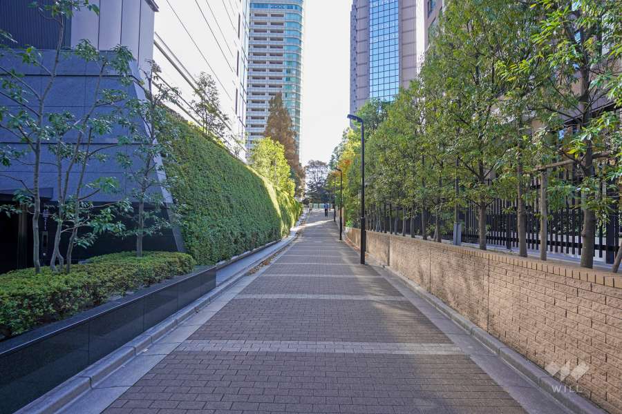 敷地北側の前面道路（西側から）