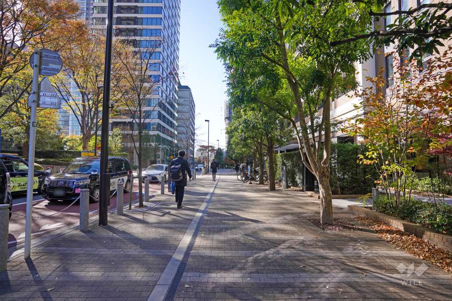 敷地東側の前面道路（北側から）