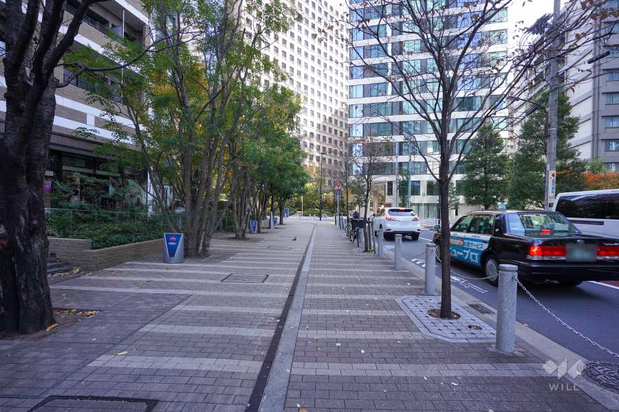 敷地南側の前面道路（西側から）