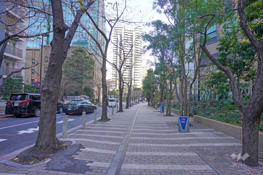 敷地西側の前面道路（南側から）