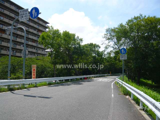 武庫川沿いの道路。時間帯によっては歩行者専用道路になります。