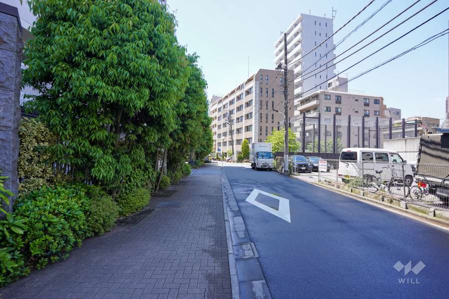 敷地北側の前面道路　