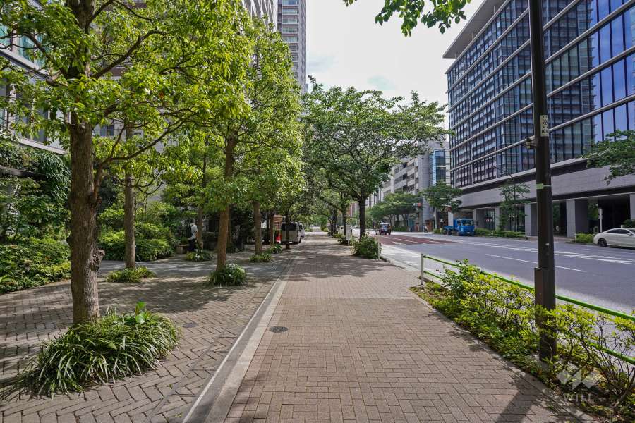 敷地西側の前面道路（北側から）