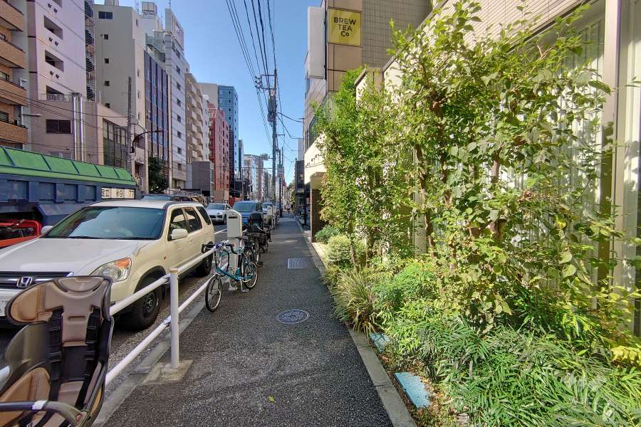 敷地南側の前面道路（東側から）