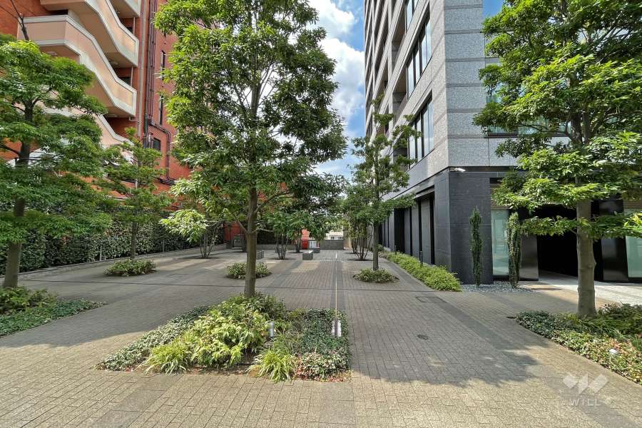 植栽が設けられた共有スペース