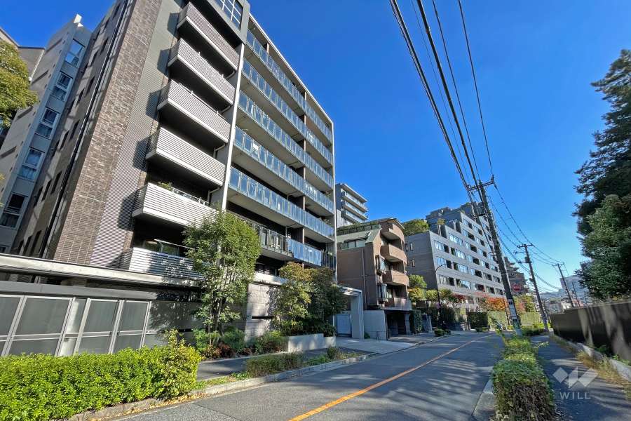 敷地の西側前面道路（北側から）