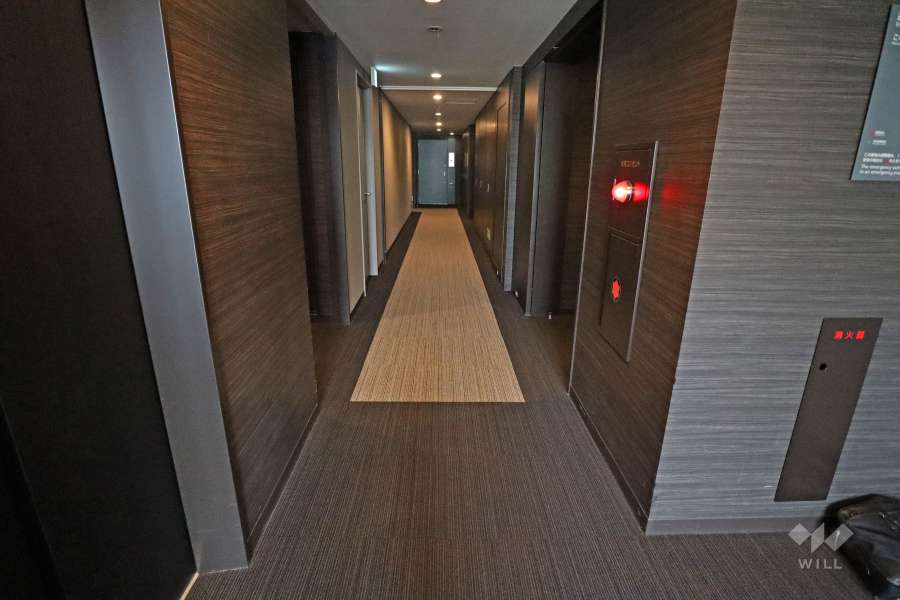 敷地内廊下。内廊下です。