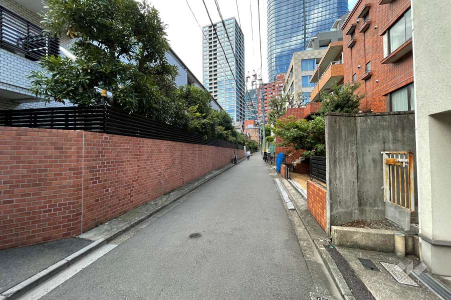 敷地の西側前面道路（南側から）