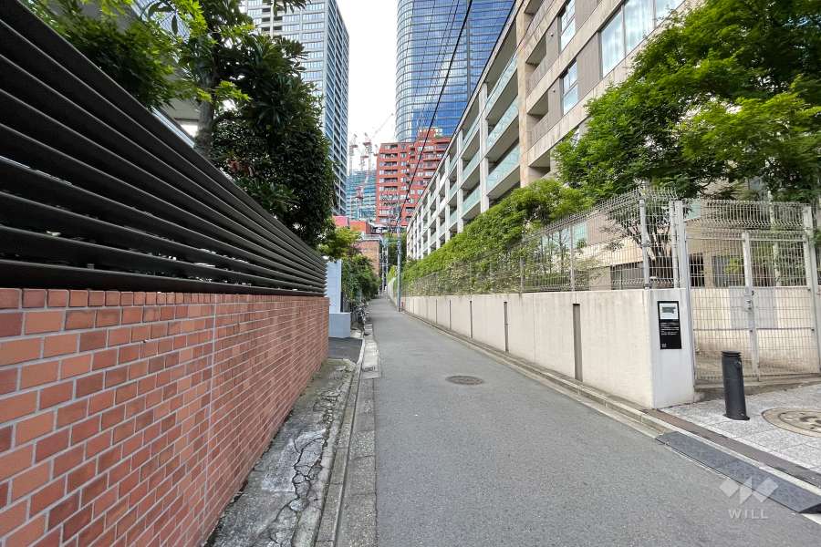 敷地の西側前面道路（南側から）