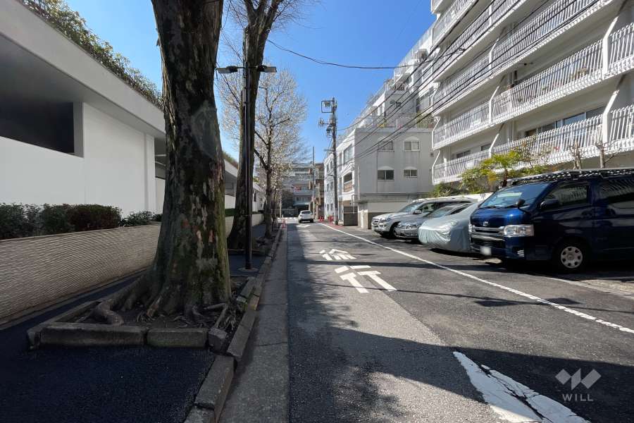 敷地東側の前面道路（北側から）