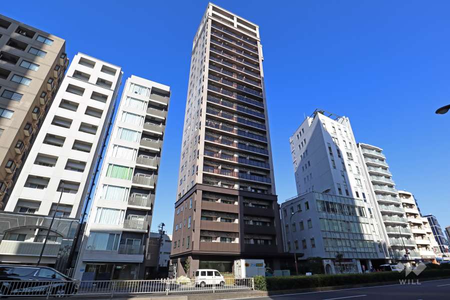 ルフォン白金台ザタワーレジデンスの外観（南側から）