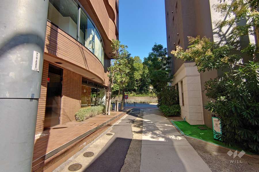 敷地南側の前面道路（西側から）