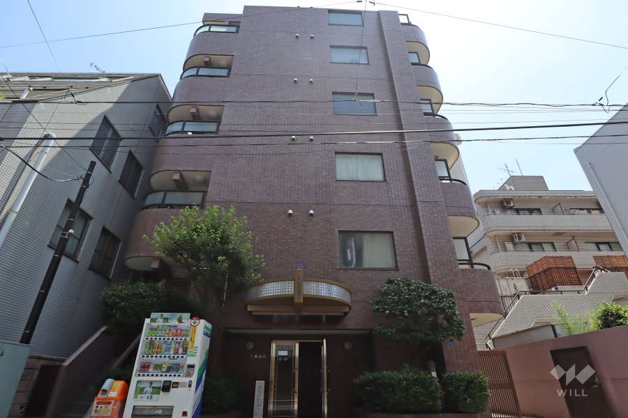 グランレーブ南麻布の外観(北側から)