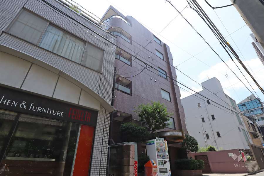 グランレーブ南麻布の外観(北東側から)