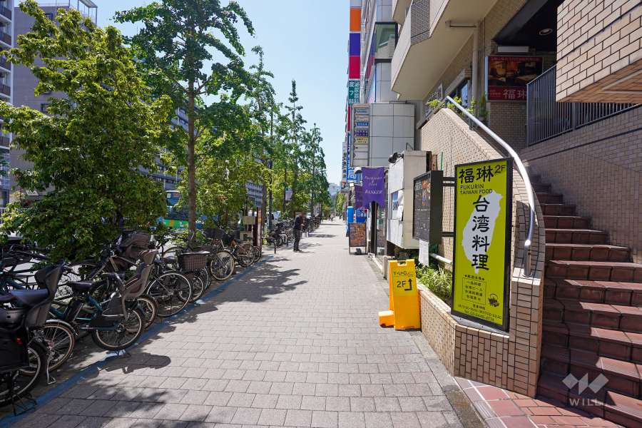 敷地東側の前面道路