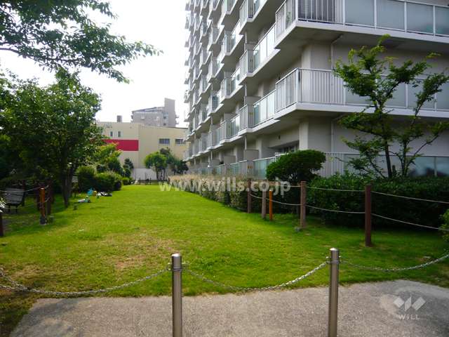 公開空地。敷地南部分の公園と建物の間には、芝生スペースがあります。