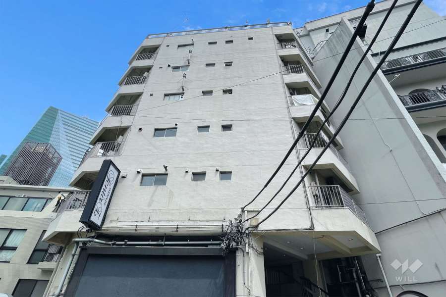 善隣会館の外観（北西側から）