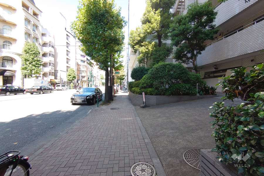 敷地西側の前面道路（南側から）