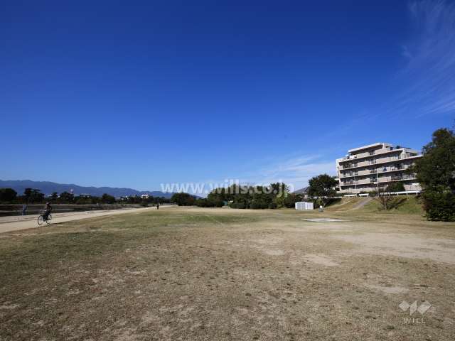 武庫川の河川敷は公園が整備されています。