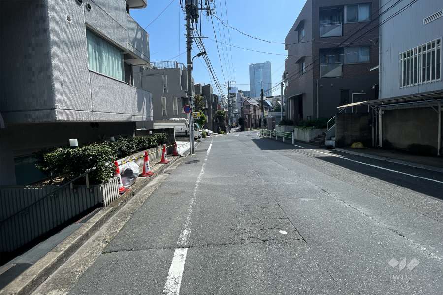 敷地南側の前面道路（西側から）