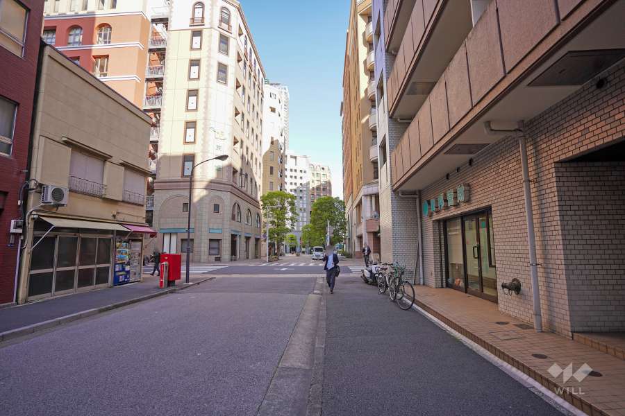 敷地北東側の前面道路（北西側から）