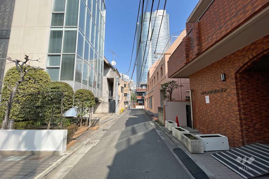 敷地北側の前面道路（西側から）