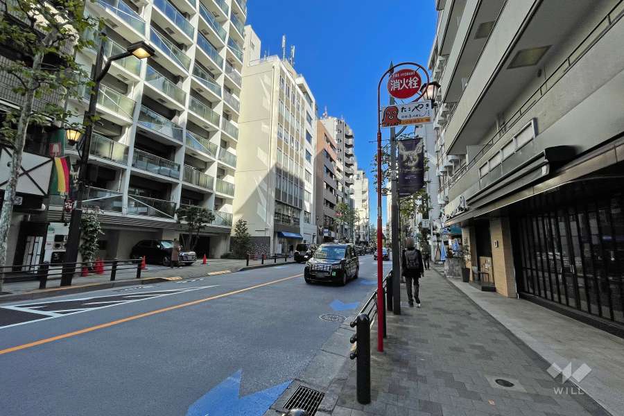 敷地の北西側前面道路（南西側から）-(1)