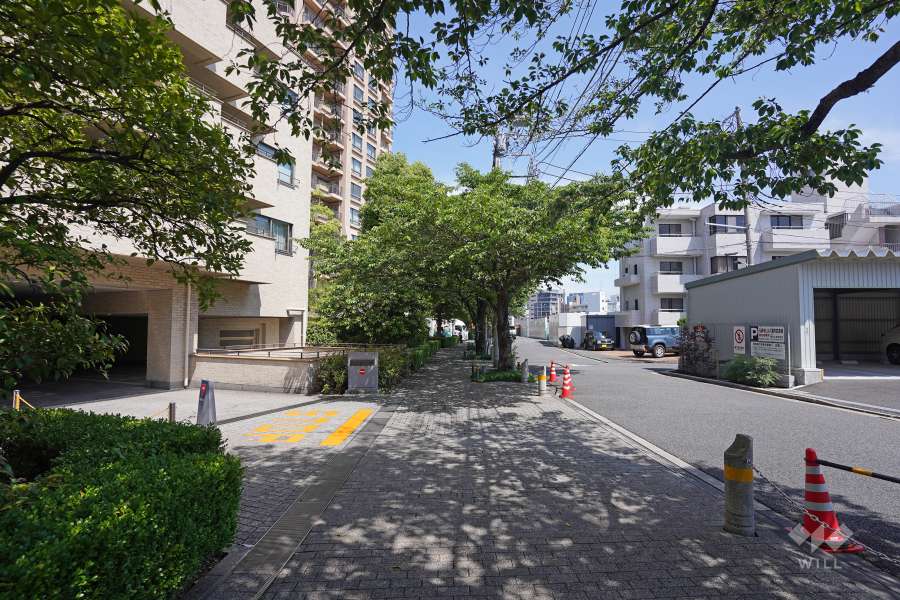 敷地南側の前面道路　