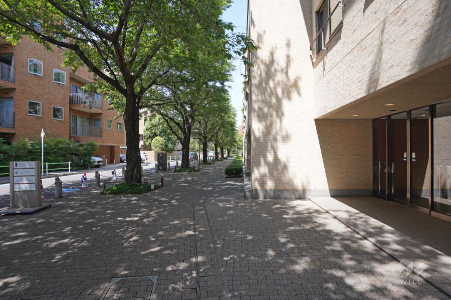 敷地北西側の前面道路　