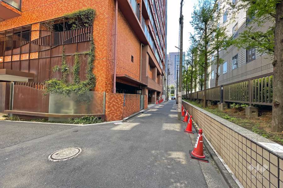 敷地の北側道路（東側から）