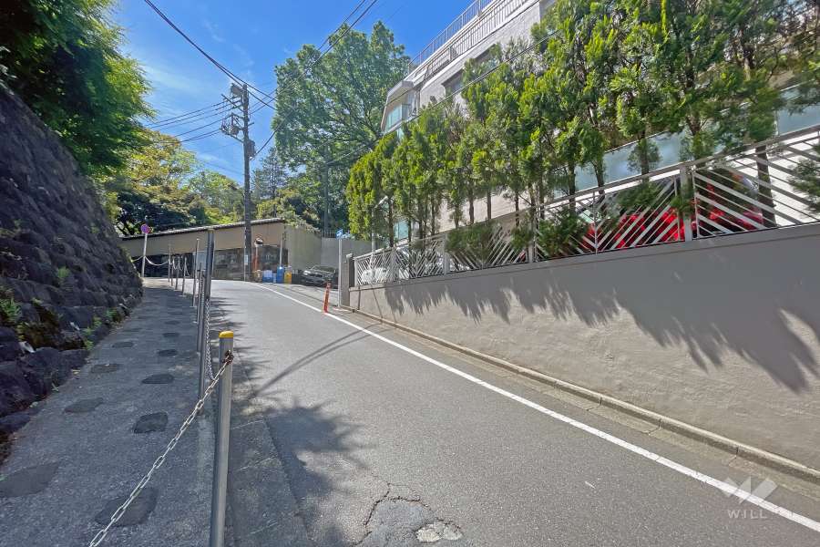 敷地北側の前面道路（西側から）