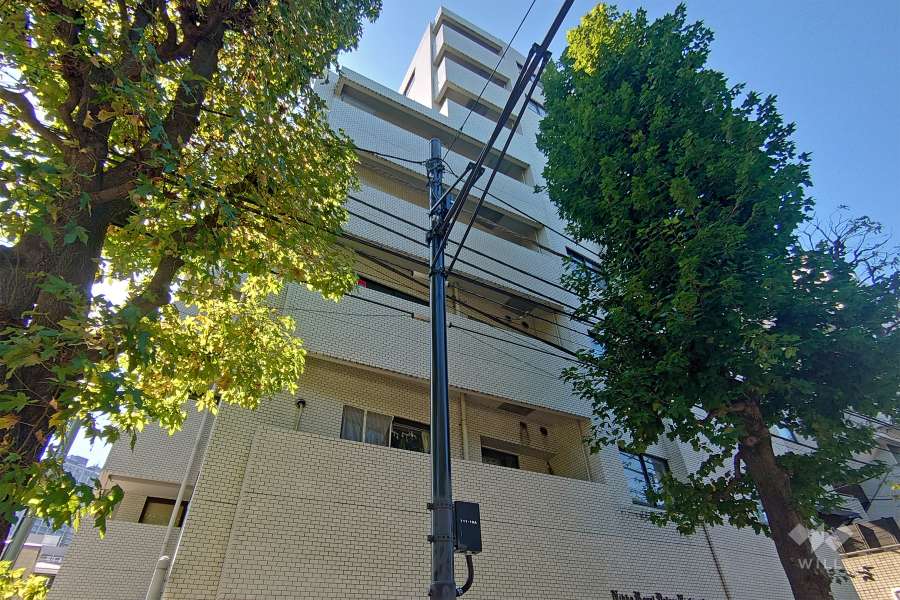 日興ロイヤルパレス西麻布の外観（北東側から）