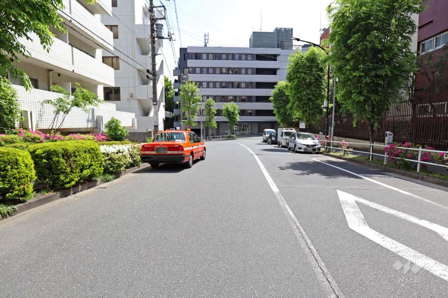 敷地南側の前面道路（西側から）