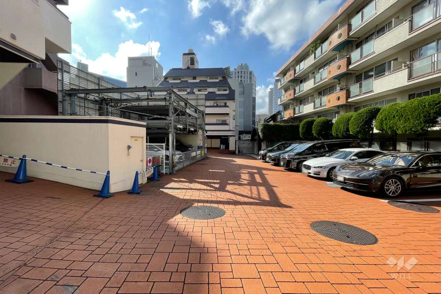 敷地南西側の通路（南東側から）