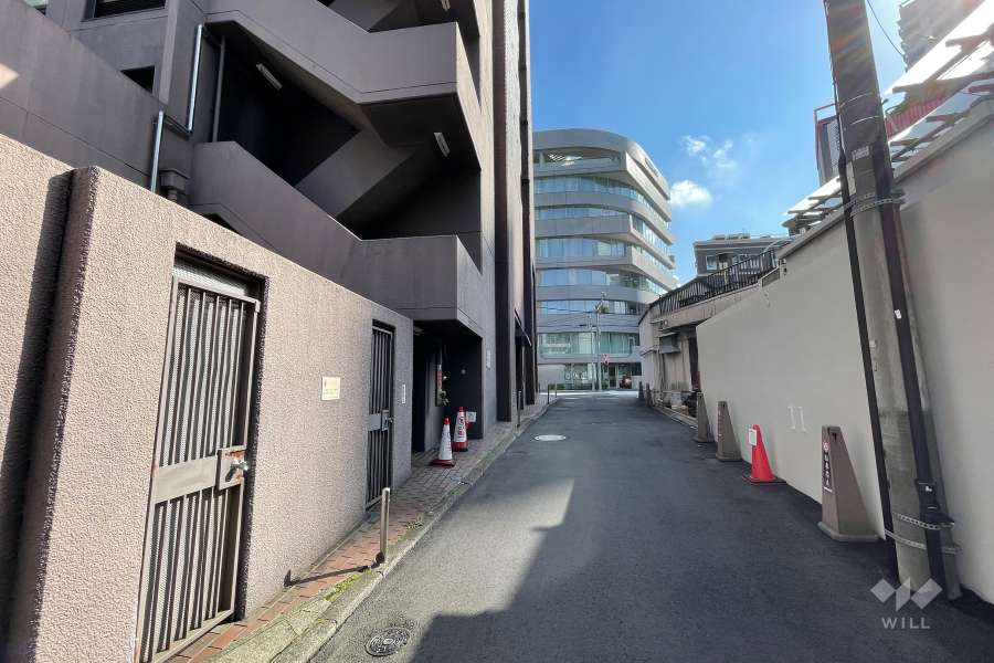 敷地南西側の前面道路（北東側から）