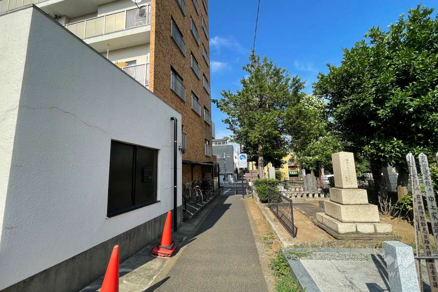 敷地の南側前面道路（西側から）