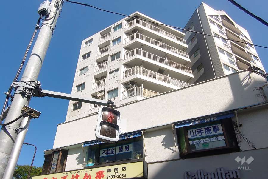 サーラ南青山の外観（南西側から）