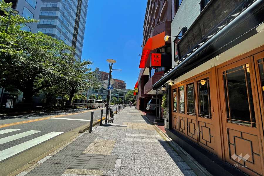 敷地南東側の前面道路（北東側から）