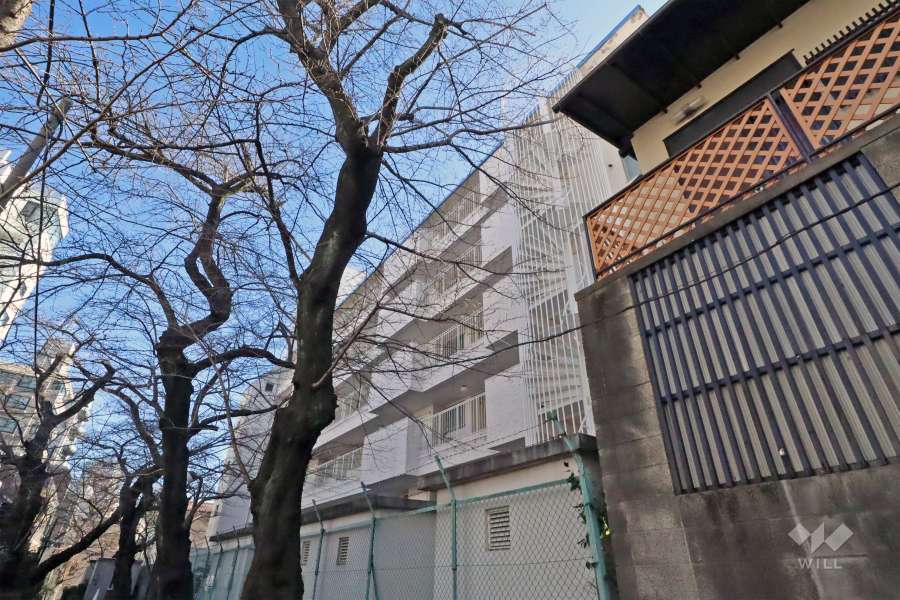 第二白金ハウスの外観(北西側から)