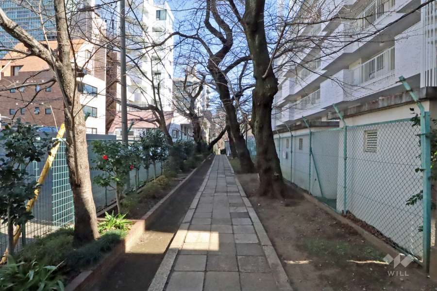 敷地北側の前面道路(側から)