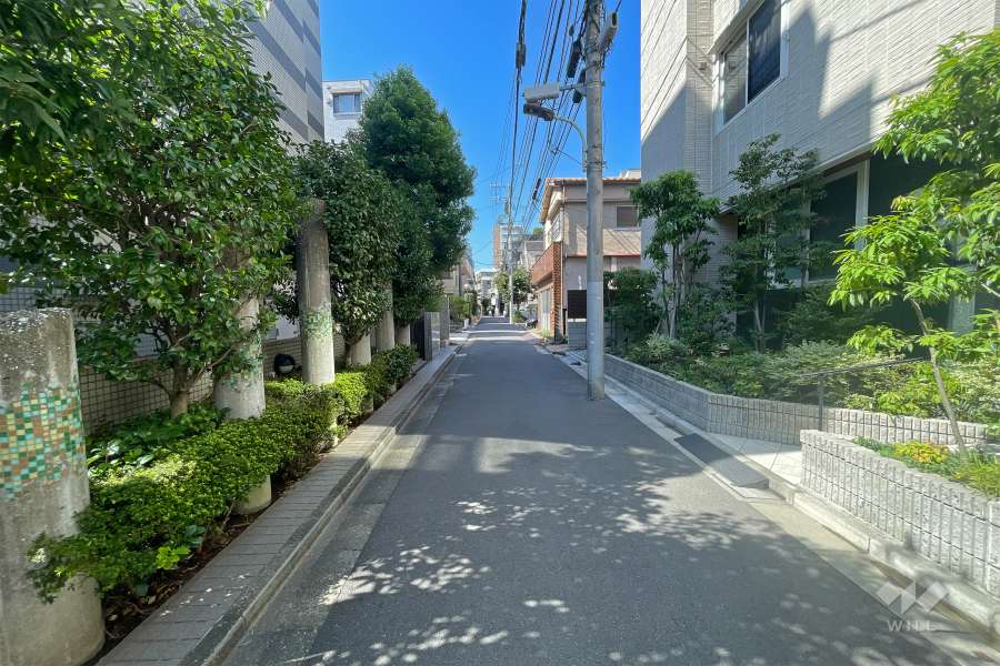 敷地北側の前面道路（東側から）