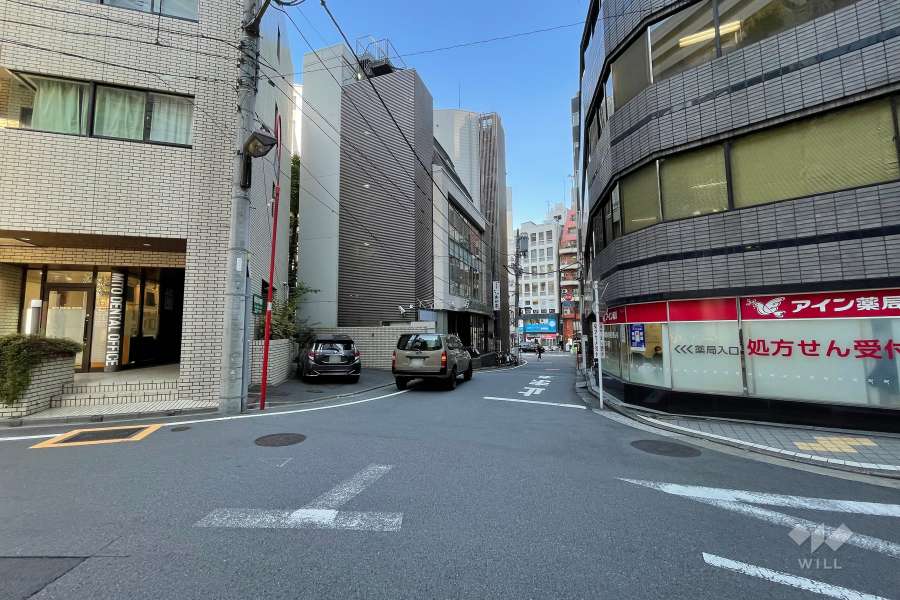 敷地南側の前面道路（西側から）