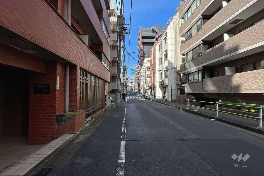 敷地北側の前面道路（東側から）