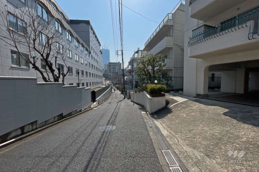 敷地北東側の前面道路（北西側から）